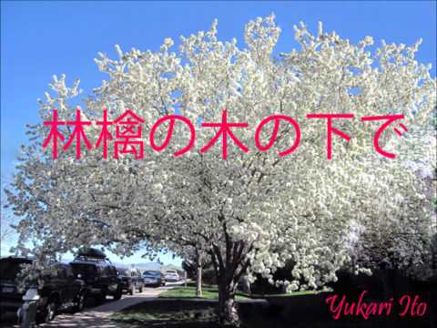 伊東ゆかり｜林檎の木の下で Yukari Ito ringo no ki no shita de